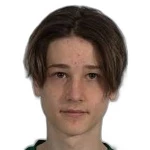 Стен Мартен Виира