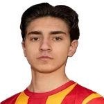 Тайсон Афшари