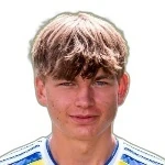 Вибе Койстра