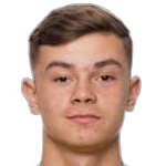 Фред Бозичевич