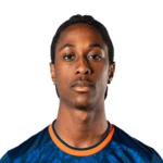 Амир Далей