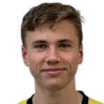 Вильмер Тюрен