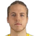 Карл Андре Валльнер