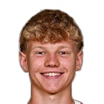 Юлиан Холлер