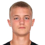 Нико Йоханн Либер