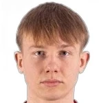 Робин Тиигисте
