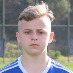 Ignat Goldobin