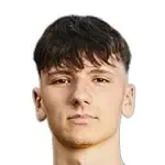 Доминик Штайнер
