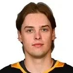 Вилле Койвуне