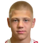 Дмитрий Шерстобитов