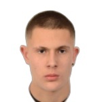 Доминик Чулина