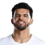 Доминик Соланке