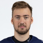 Илья Николаев