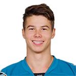 Николай Голдобин