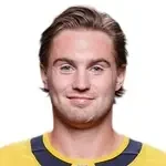 Нильс Хогландер