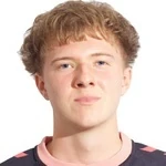 Доминик Брулински