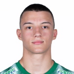 Павле Атанасиевич