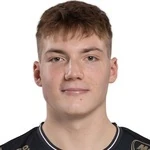 Альюс Анжич