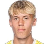 Вигго Эльфстром