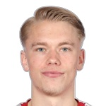 Вигго Хэль