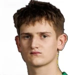 Витис Павилонис