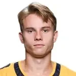 Феликс Нильссон