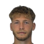 Давид Холубек