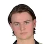 Оле Мартин Древланд