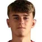 Леон Свитек
