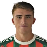 Факундо Санчес
