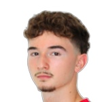 Ловро Андрич