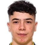 Феликс Фельдер Аалтонен