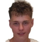 Дилан Кинг