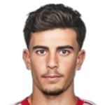 Рои Алькокин