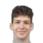 Ловро Стрнад