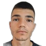 Дамир Станич