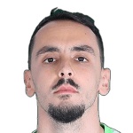 Владимир Стойкович