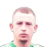 Ян Андрин