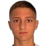 Лука Пульич