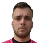 Давид Долежан
