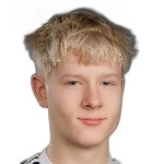 Лиэви Ярвинен