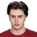 Вилхо Вирен