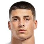 Нико Фридл