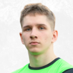Робертс Дзерве