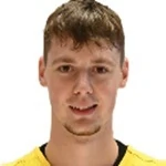 Вукашин Чорич