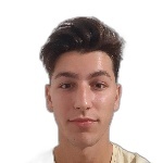 Фран Цветичанин