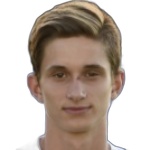 Доминик Плестил