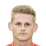 Дарвин Хейвельман