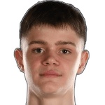 Вукашин Велимирович