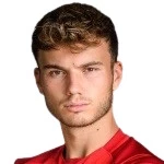 Доминик Швайцер